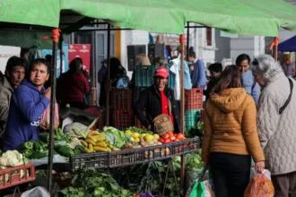 Última Feria Campesina Pucará 2025: Productos frescos y artesanías en el Centro Cultural