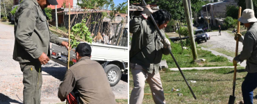San Salvador de Jujuy plantó 3 mil árboles en 2025
