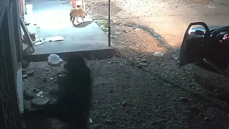 Capturan en video a malhechor que irrumpió violentamente en domicilio de La Ovejería