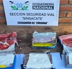 Captura de narcóticos en ruta: dos detenidas tras hallazgo en transporte interprovincial