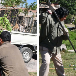 San Salvador de Jujuy plantó más de 3 mil árboles en 2025