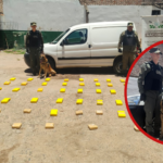 Gendarmería secuestra más de 52 kilos de estupefacientes en ruta nacional