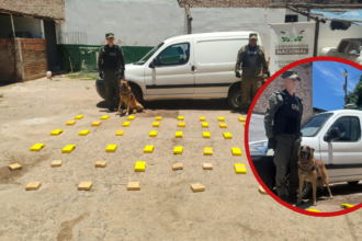 Gendarmería secuestra más de 52 kilos de estupefacientes en ruta nacional