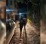 Detienen a uno de dos delincuentes que asaltaron vivienda en barrio Belgrano