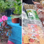 Última Feria Campesina Pucará 2025: Productos frescos y artesanías en el Centro Cultural