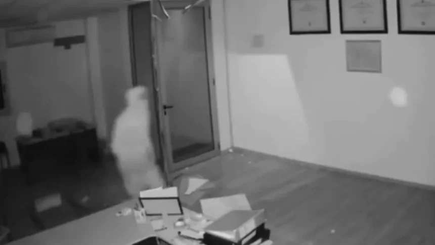 Asalto a mano armada en Palma Sola: delincuente exigía dinero a punta de pistola