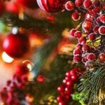 Cómo celebran la Navidad los argentinos: costumbres y rituales que perduran