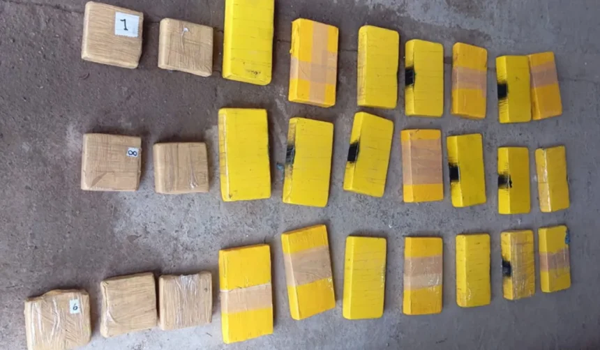 Detienen a conductor con más de 50 kilos de cocaína en ruta de Ledesma