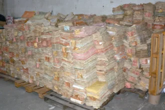 Más de 29 mil casos judiciales serán eliminados tras período de consulta pública