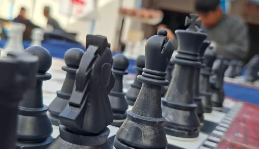 Una propuesta innovadora: Colonia de Ajedrez para disfrutar el verano