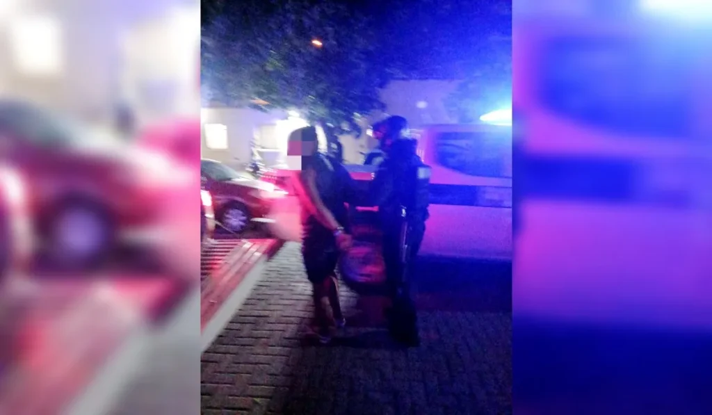 Aprehendieron a un sujeto por violencia doméstica en San Isidro