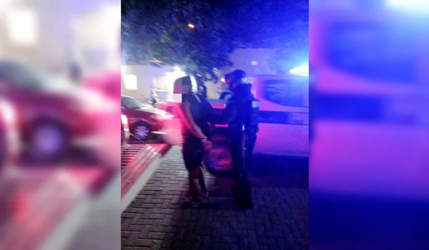 Aprehendieron a un sujeto por violencia doméstica en San Isidro