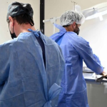 San Salvador: cronograma de castraciones y vacunas en barrios