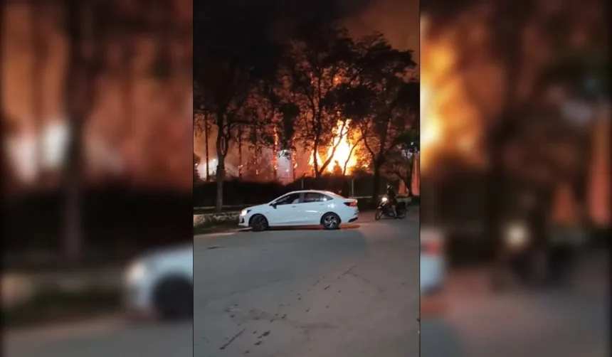 Fuego en Perico: sospechan que artefactos pirotécnicos causaron el siniestro