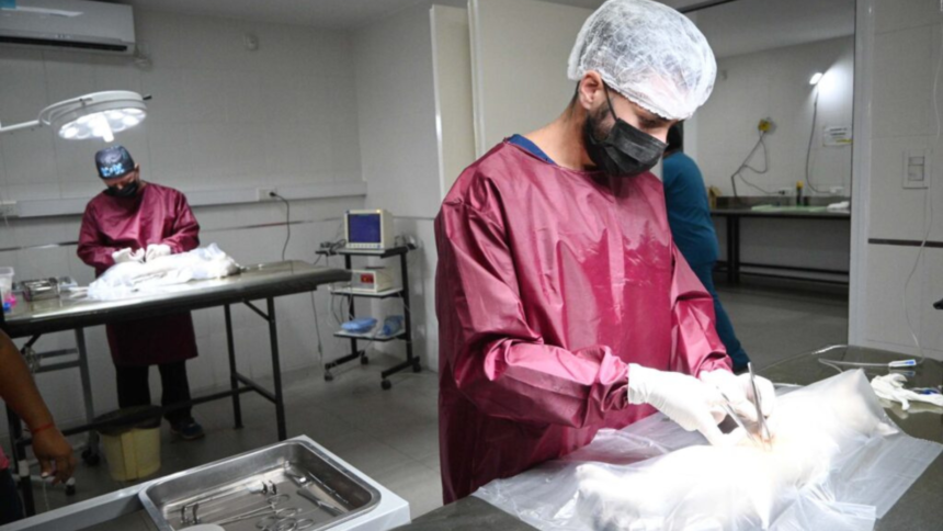 Servicios veterinarios gratuitos en barrios jujeños