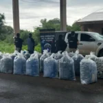 Detención: Jujeño capturado con 924 kilos de coca