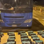 Coca incautada: Gendarmería desactiva red de tráfico