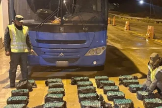 Coca incautada: Gendarmería desactiva red de tráfico