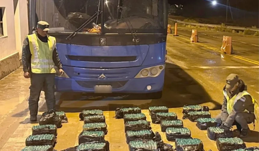 Coca incautada: Gendarmería desactiva red de tráfico