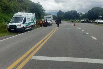 Choque Ruta 9: un muerto en colisión Lozano