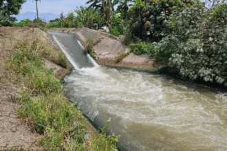 Hallan un cuerpo sin vida en el polémico canal de riego de Perico