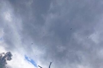 Fuerzas militares despliegan aeronaves en Chubut