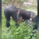 Intervención policial evita tragedia en el canal de Virgen del Valle