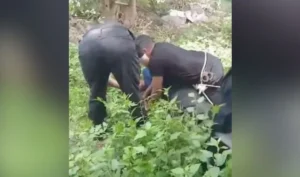 Intervención policial evita tragedia en el canal de Virgen del Valle