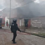 Incendio en San Martín: siete mascotas fallecieron