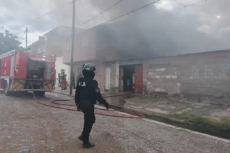 Incendio en San Martín: siete mascotas fallecieron