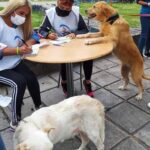 Rabia humana: Jujuy libre desde 2008