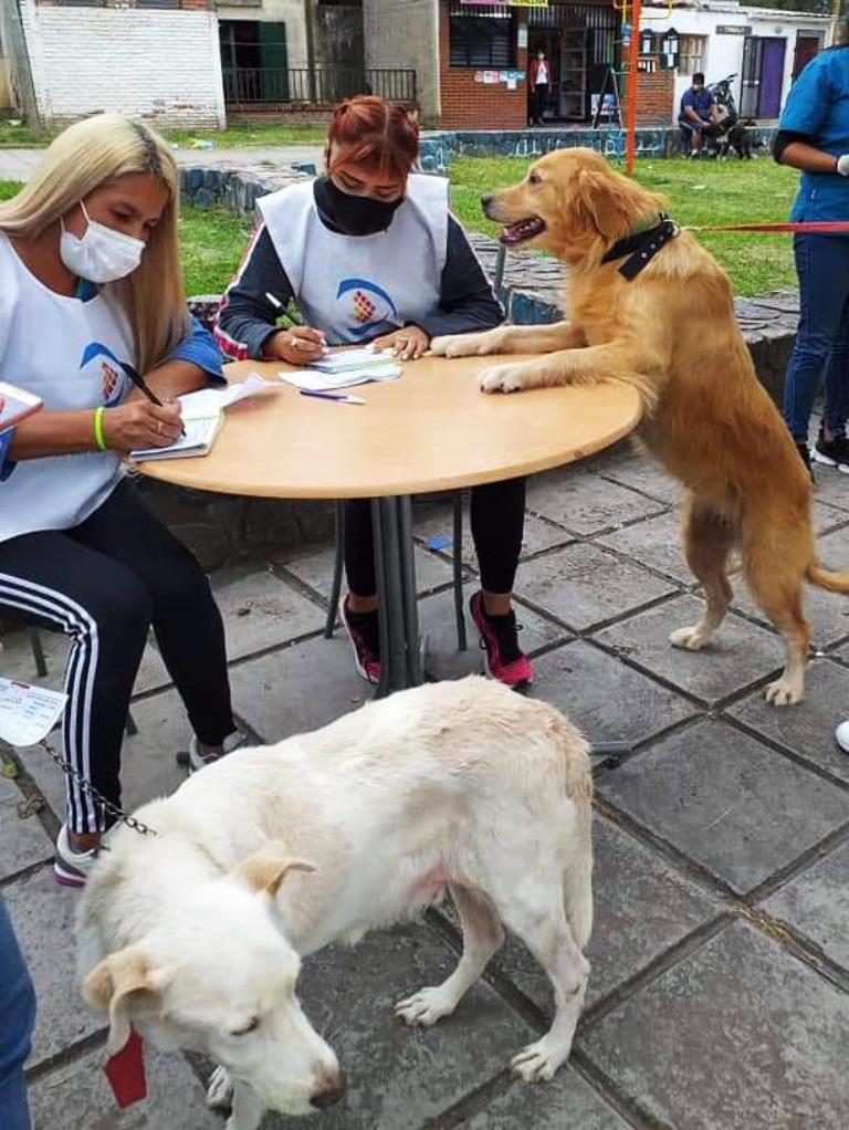 Rabia humana: Jujuy libre desde 2008