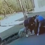 Brutal asalto a joven Libertador: lo golpearon y quisieron ahogarlo