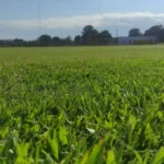 San Pedro ultima detalles: el Fortín listo para la temporada 2026