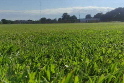 San Pedro ultima detalles: el Fortín listo para la temporada 2026