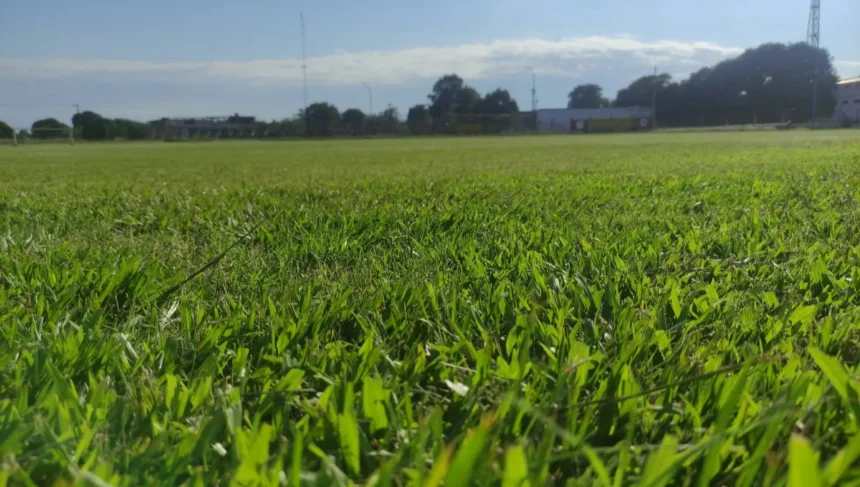 San Pedro ultima detalles: el Fortín listo para la temporada 2026