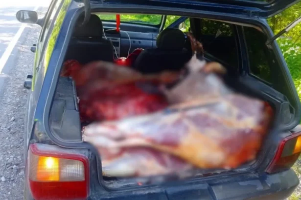 Detienen a conductor por trasladar carne sin habilitación en Ruta 9