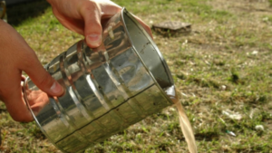 La provincia mantiene su estatus libre de dengue gracias a medidas preventivas