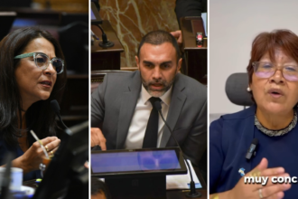 Posiciones divididas: cómo votaron los senadores jujeños reforma laboral