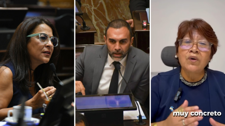 Posiciones divididas: cómo votaron los senadores jujeños reforma laboral