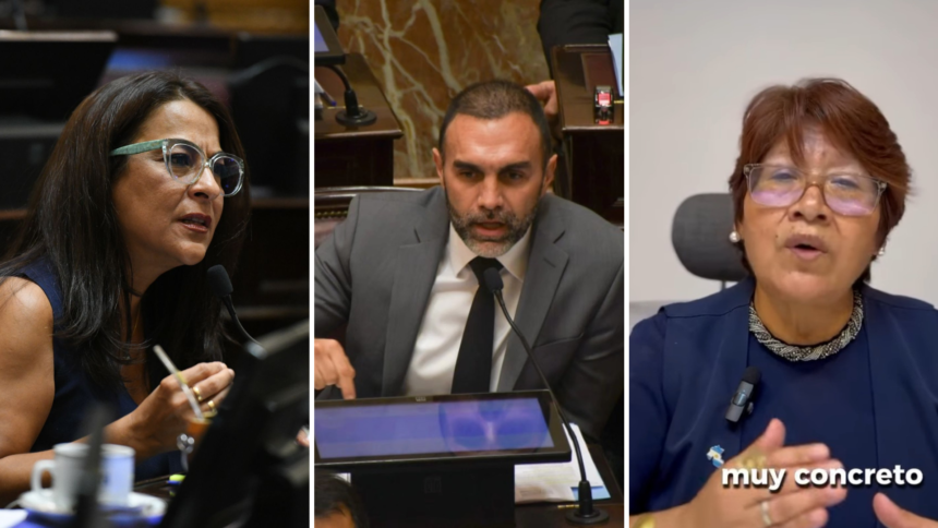 Posiciones divididas: cómo votaron los senadores jujeños reforma laboral