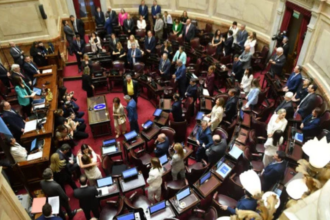 El Senado aprueba reforma laboral con 42 votos y envía proyecto a Diputados