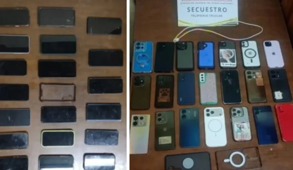 Capturan a casi 20 delincuentes por robo celulares Carnaval en Jujuy