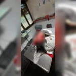 Brutal agresión a perrita en El Arenal: hallan mascota despellejada