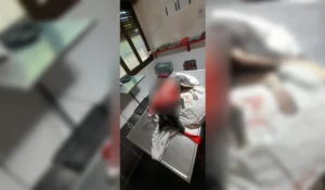 Brutal agresión a perrita en El Arenal: hallan mascota despellejada