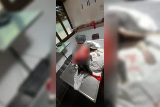 Brutal agresión a perrita en El Arenal: hallan mascota despellejada