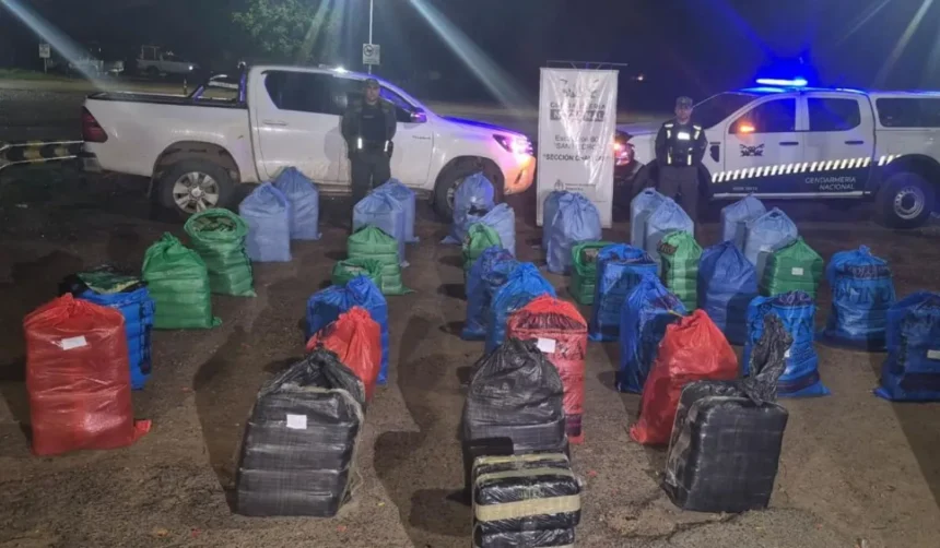 Coca Fraile Pintado: Gendarmería secuestró casi una tonelada