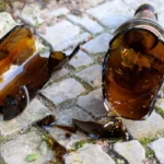 Asalto a mano armada deja herido grave en Ruta 66