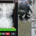 Gendarmería captura a tres mujeres con droga en tráfico cocaína Ruta 9