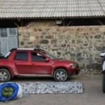 Gendarmería decomisa casi 2 toneladas de coca en operativo fronterizo